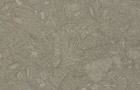 Detailansicht Marmor Fossil Green