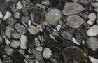 Granit-Konglomerat Black Marinace