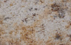 Detailansicht Granit Colonial Cream