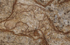 Detailansicht Granit Golden Beach