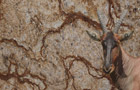 Detailansicht Granit Golden Beach