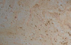 Detailansicht Granit Harvest Cream