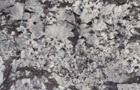 Granit White Star Detailansicht