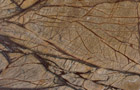 Detailansicht Marmor Rain Forest Brown