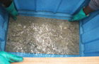 Granit Terrassenplatten Vorimpr&auml;gnierung, Schritt 2
