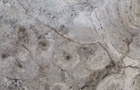 Detailansicht Travertin Silver